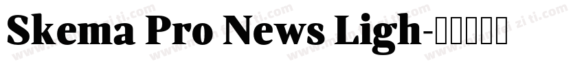 Skema Pro News Ligh字体转换